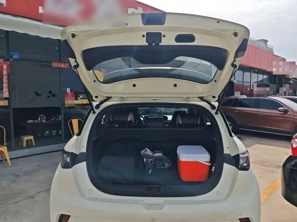BYD Dolphin 2026 2025 420km Freedom Edition