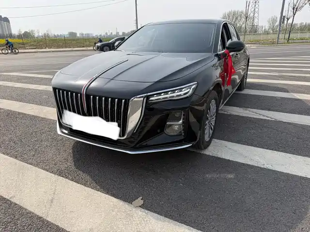 Hongqi HONGQI H5