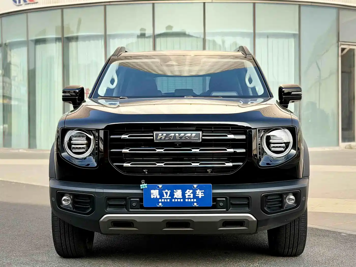 HAVAL BIG DOG