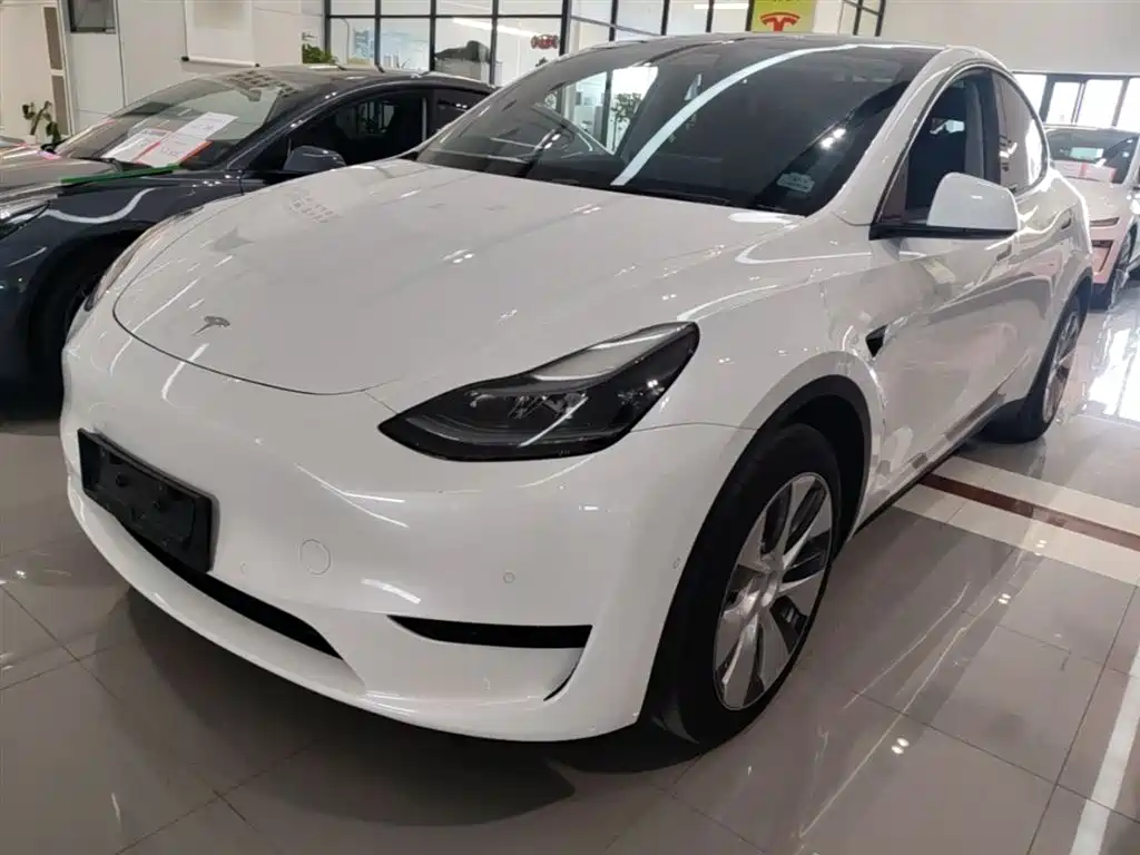 Tesla Model Y 2022 Rear-Wheel Drive Version