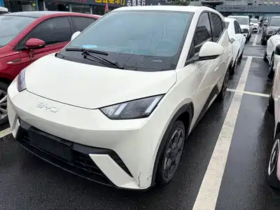 BYD Seagull