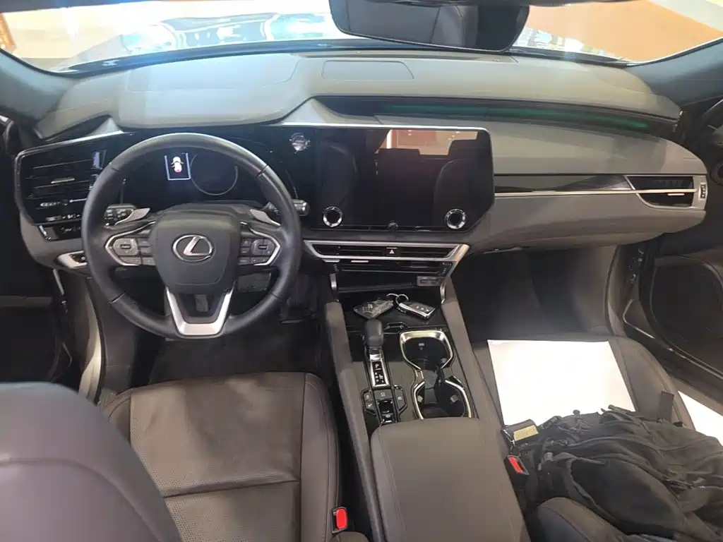 Фото 14 - Lexus RX