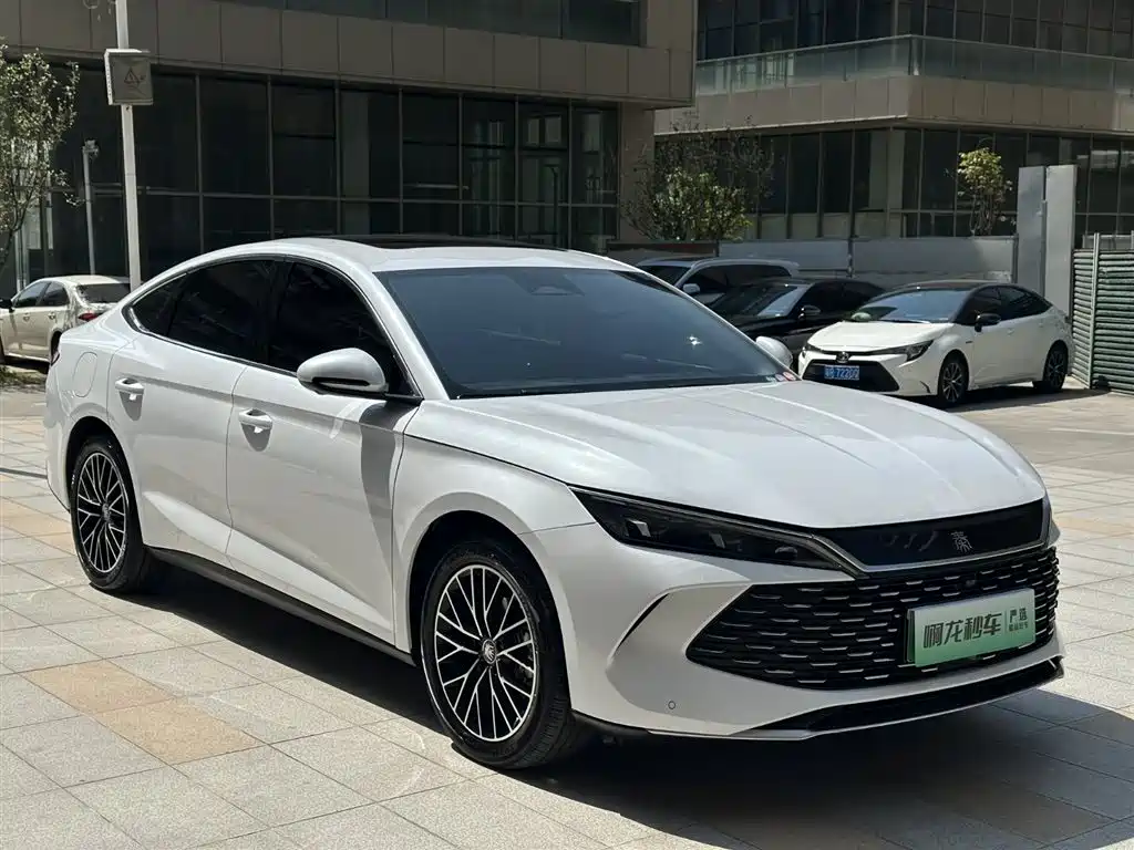 BYD QIN L
