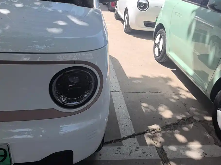 Geely Galaxy Panda 2024 Panda mini 200km Endurance Bear фото 5