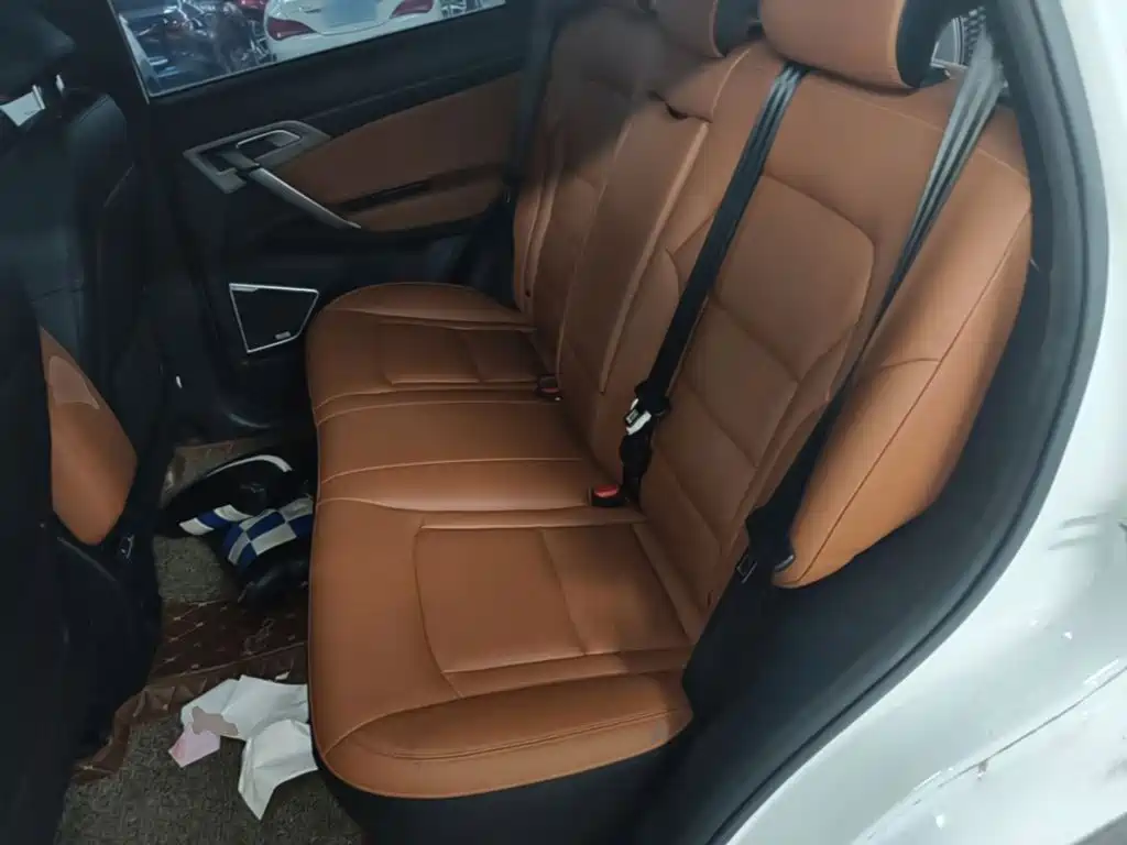 Photo 17 - Geely Atlas
