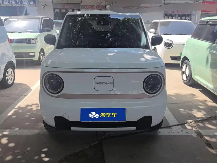 Geely Galaxy Panda 2024 Panda mini 200km Endurance Bear фото 2