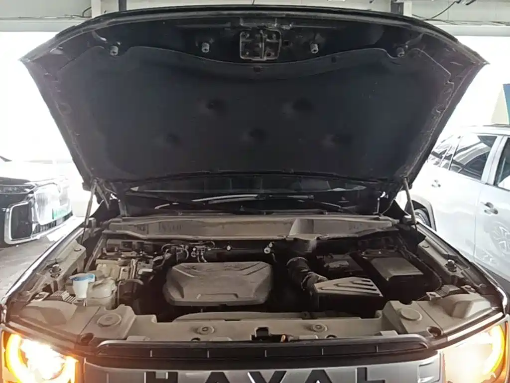 Haval Dargo 2025 2024 1.5T DCT Border Collie Edition