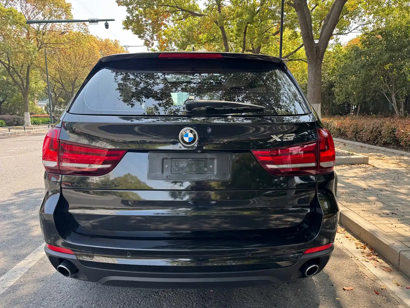 BMW X5 (Import) 2014 xDrive35i Leading фото 4