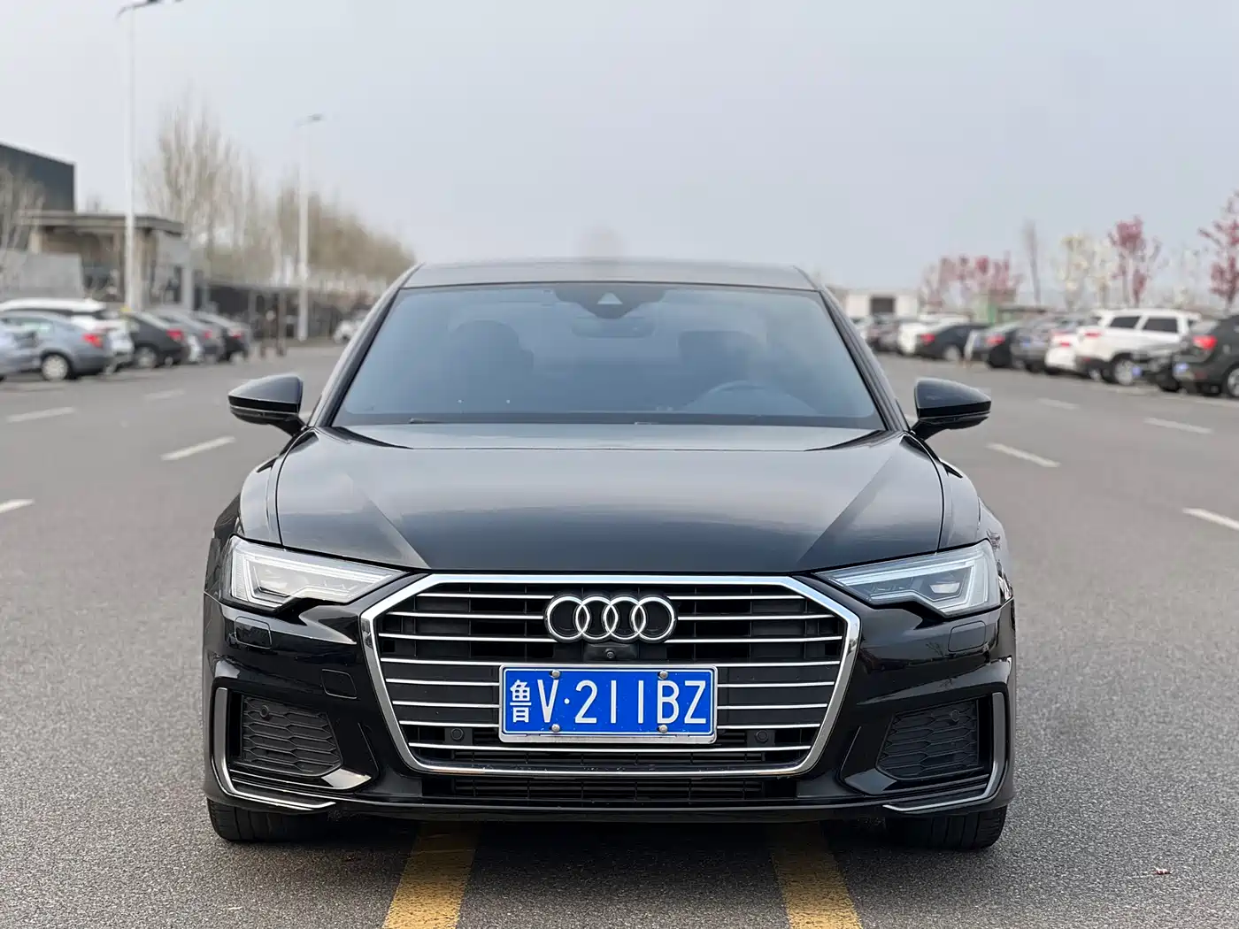 Audi A6L 2021 40 TFSI Luxury Sport фото 2