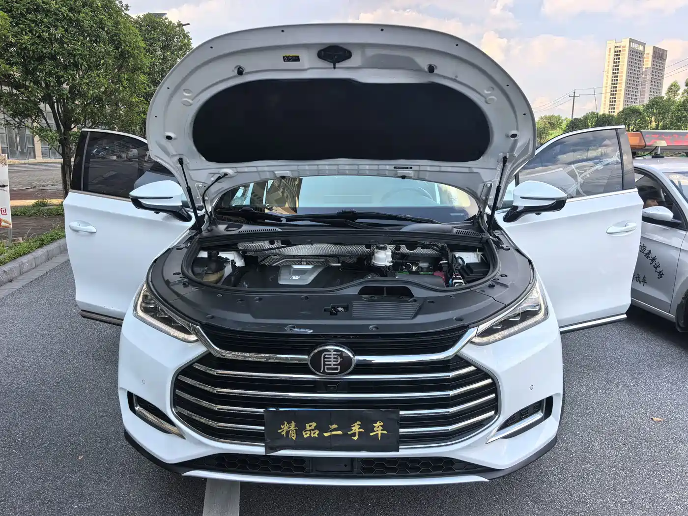 BYD Tang 2021 2021 2.0T Automatic Flagship