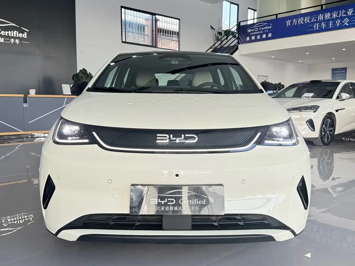 Фото 2 - BYD Dolphin