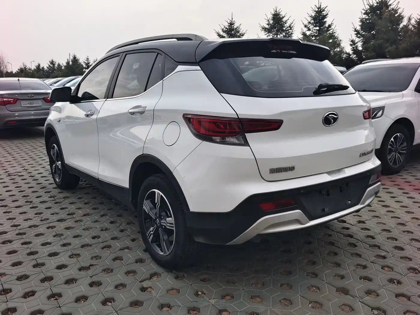 SOUEAST SOUTHEAST DX3 NEW ENERGY