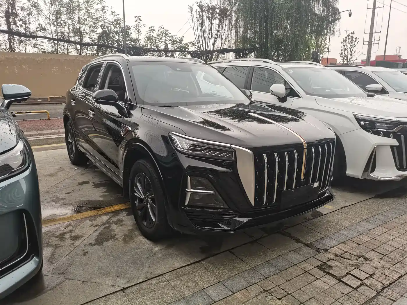Hongqi HS5 2023 2.0T Flag Enjoy Pro Edition фото 3