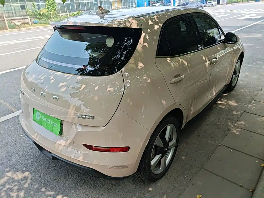 Ora Good Cat 2024 2023 401km Standard Range Luxury LFP
