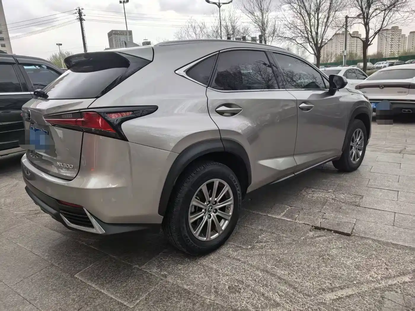 LEXUS NX