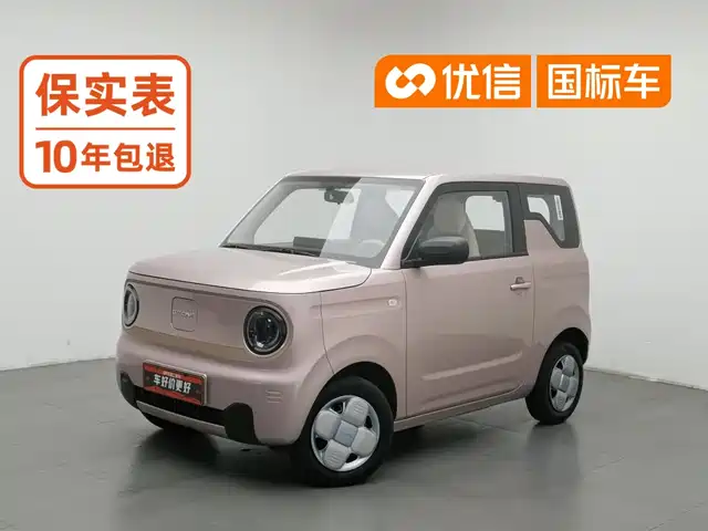 Geely Galaxy Panda 2024 Panda mini 200km Endurance Bear — фото 1