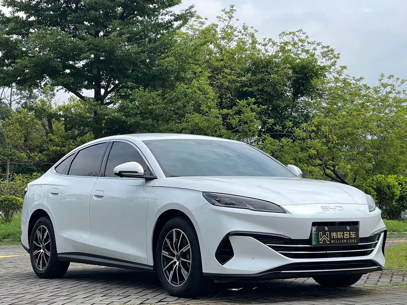 BYD Seal 06 New Energy 2025 2024 DM-i 80KM Luxury