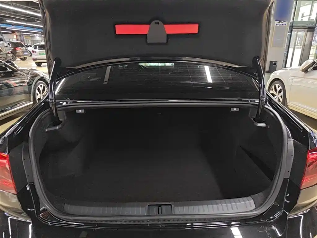 Volkswagen Magotan 2021 330TSI DSG 30th Anniversary Edition фото 19
