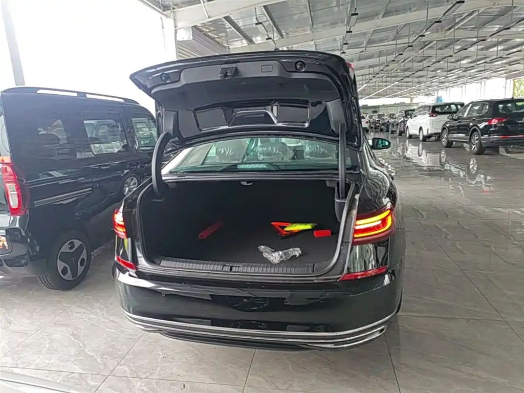 Volkswagen Passat New Energy 2025 430PHEV Hybrid Business Edition фото 19