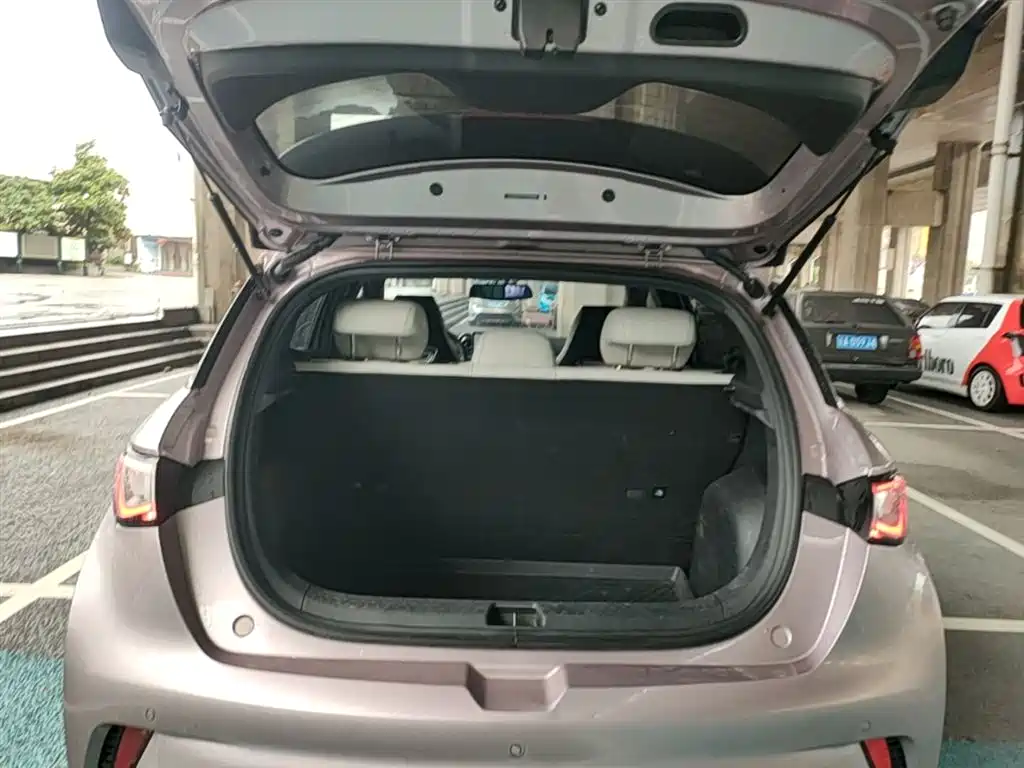 BYD Dolphin 2023 420km Freedom Edition фото 19