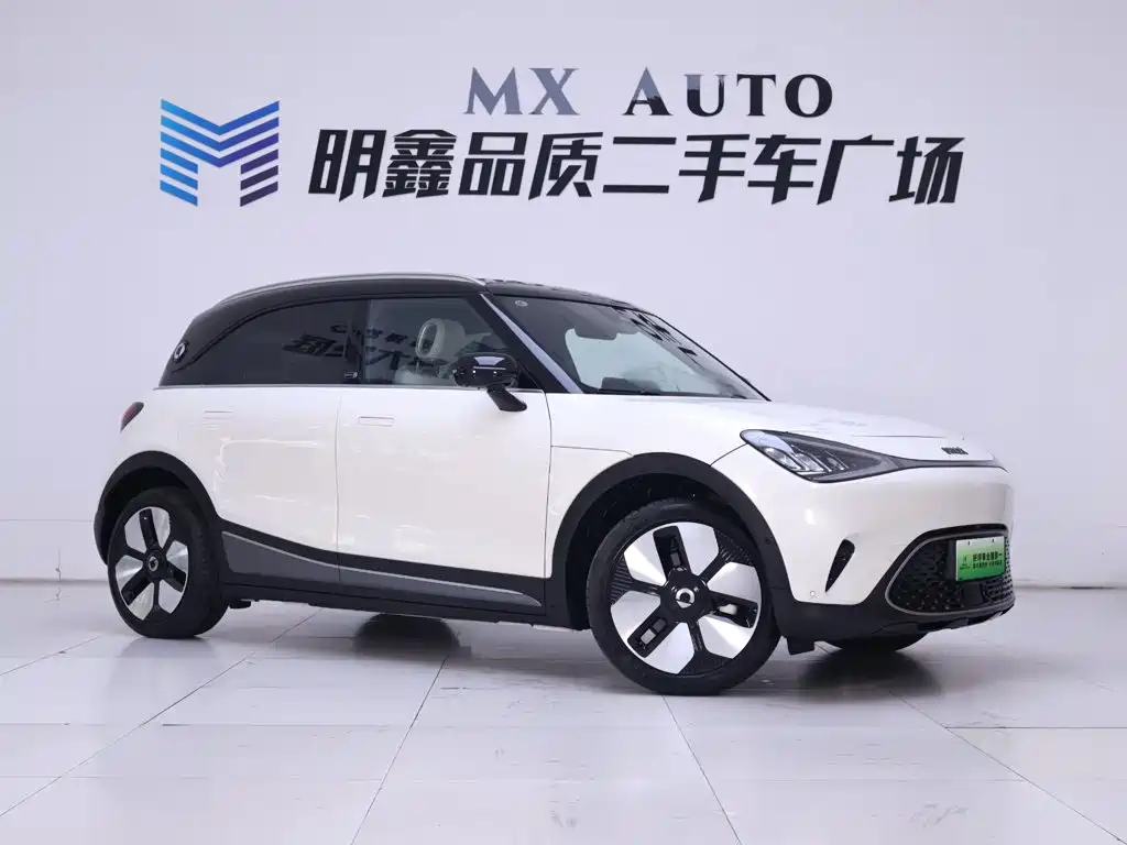 2025 smart Elf #1