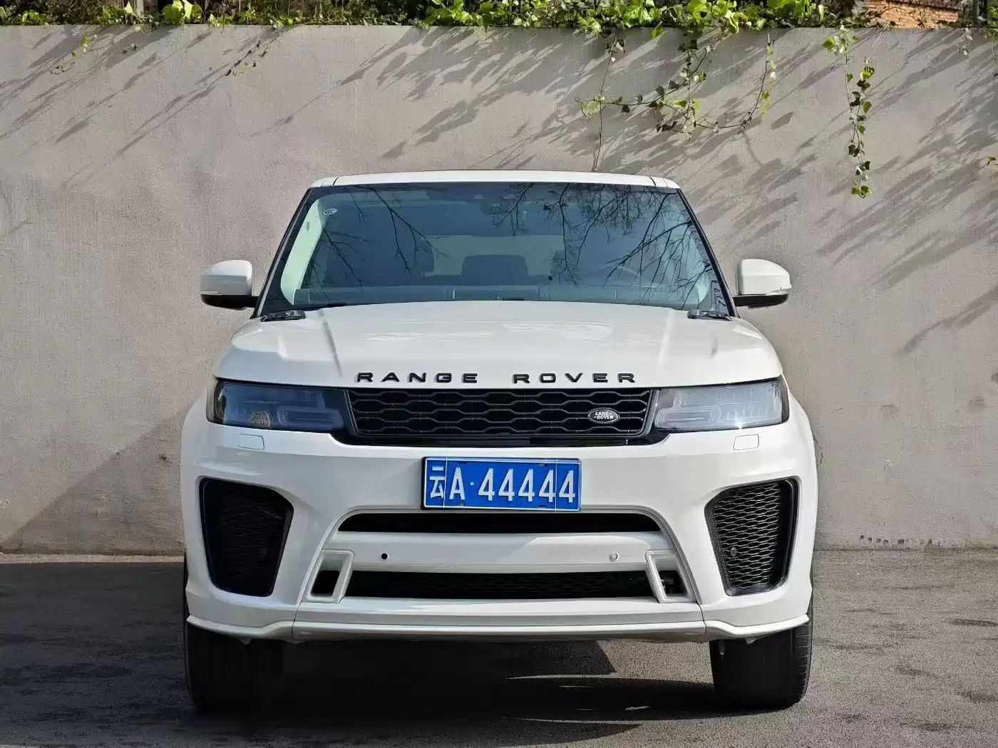 Land Rover Range Rover Sport 2017 3.0 SC V6 HSE фото 2