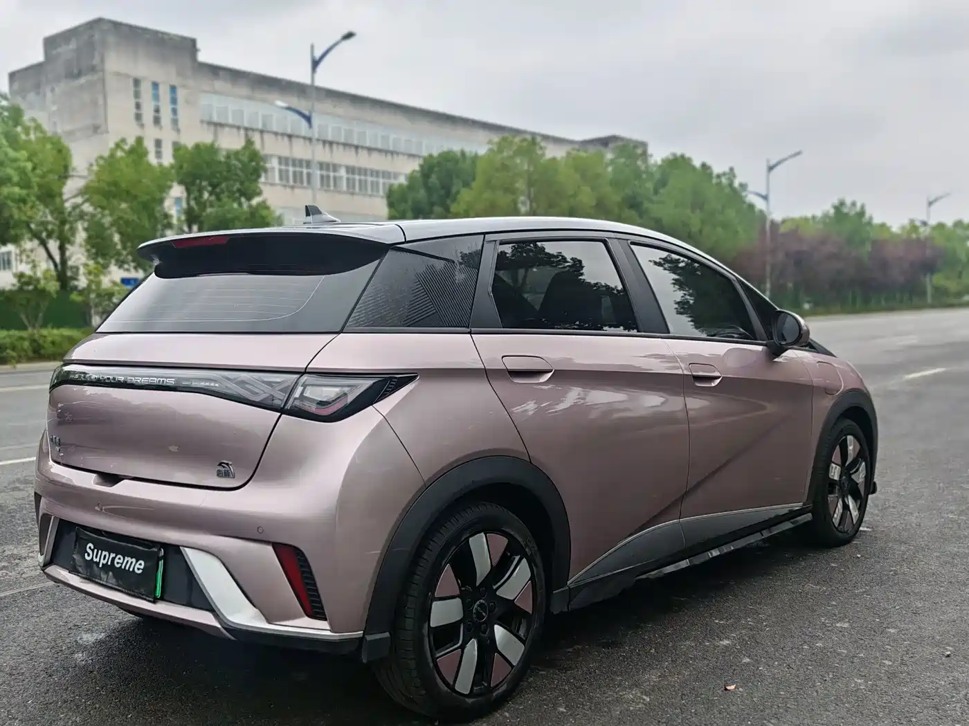 BYD Dolphin 2022 2021 401km Knight Edition