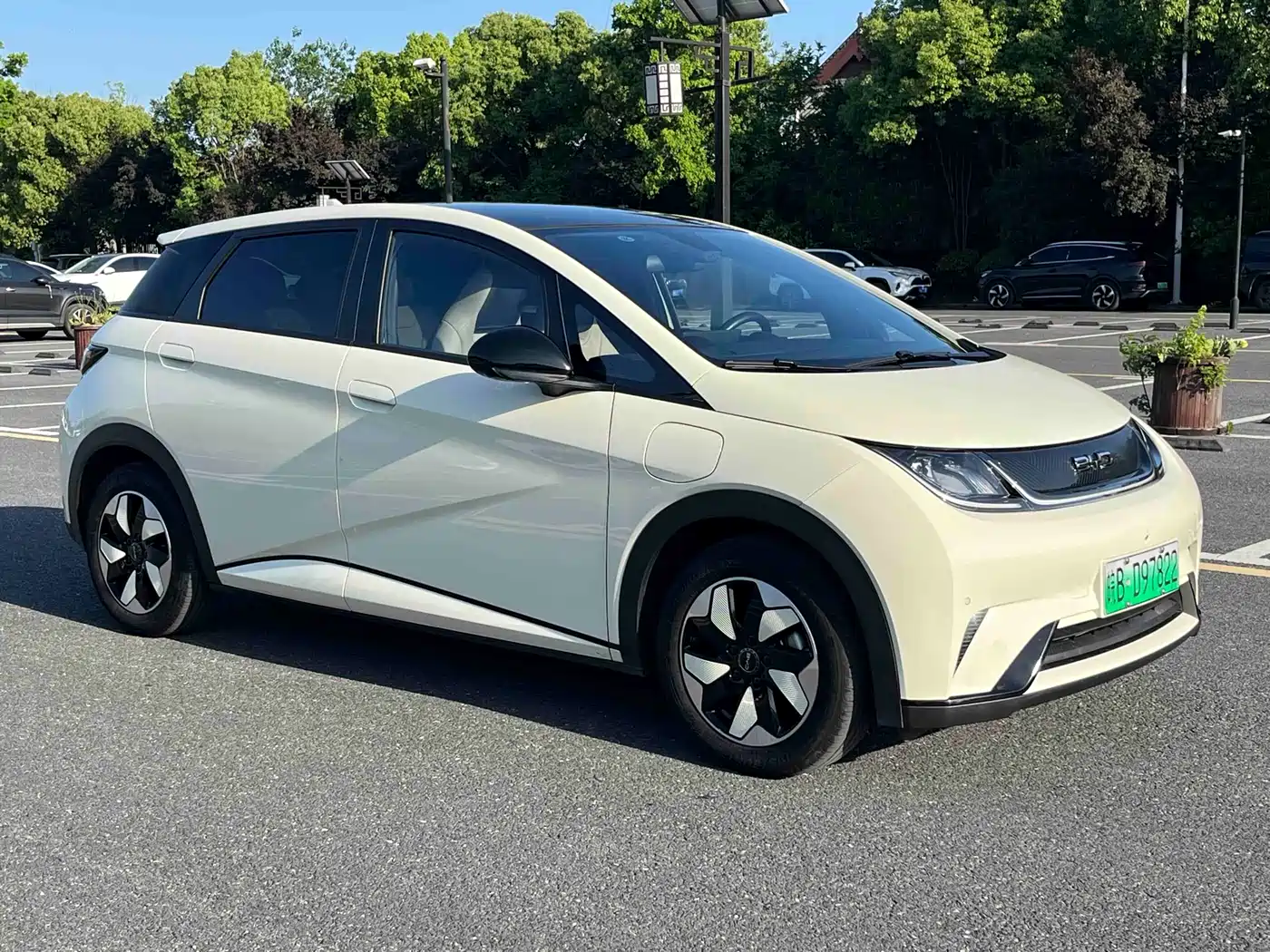 BYD Dolphin 2024 Glory Edition 420km Fashion Edition фото 3