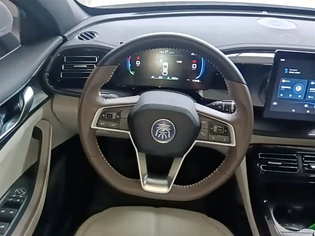 BYD Qin PLUS 2024 Glory Edition DM-i 55KM Leading фото 11