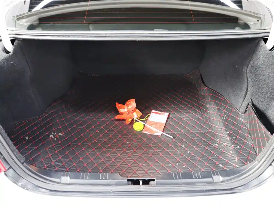 BMW 5 Series 2010 520Li Leading фото 25
