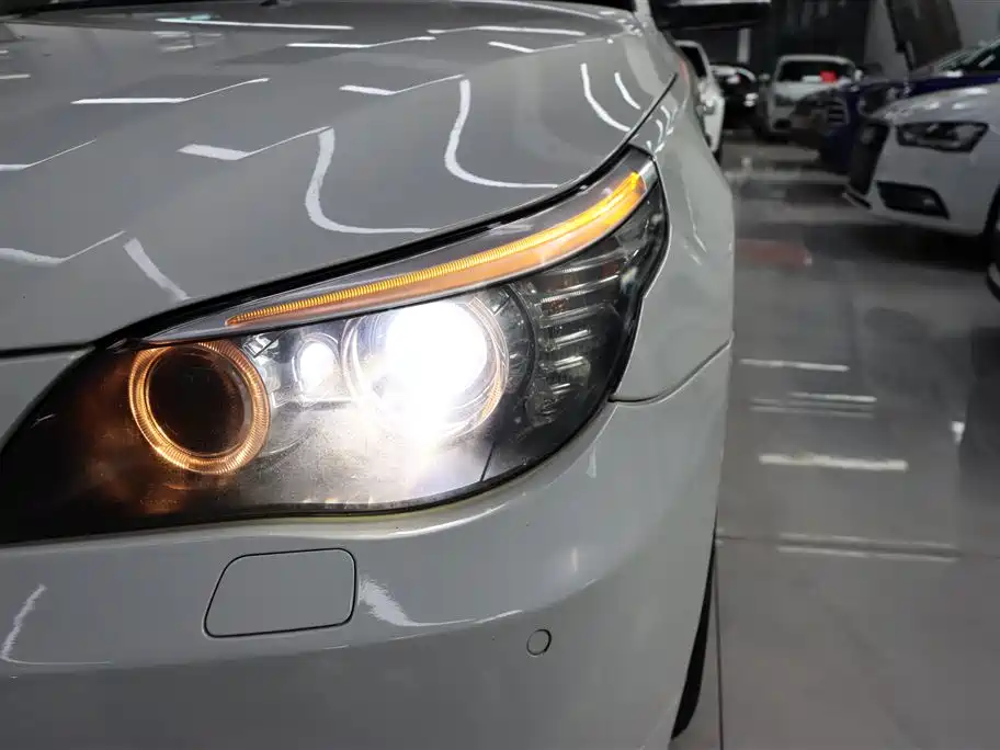 BMW 5 Series 2010 520Li Leading фото 30
