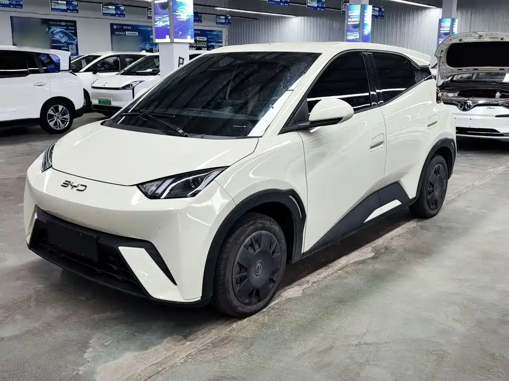 BYD Seagull 2024
