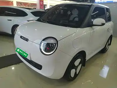 Changan Lumin