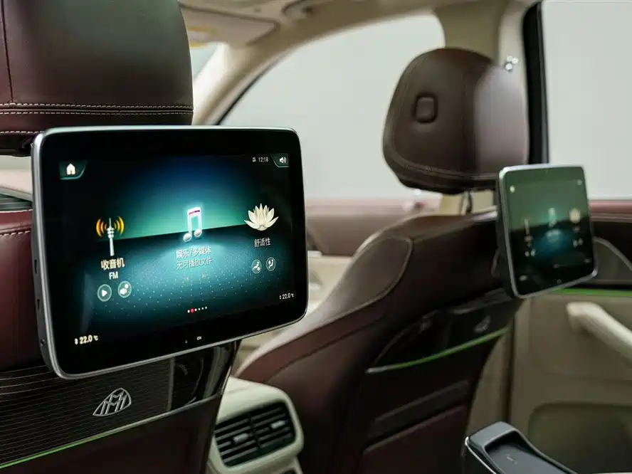 Mercedes-Benz Maybach GLS 2021 GLS 600 4MATIC Ritual Edition фото 15