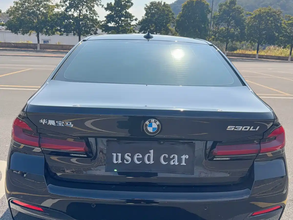 BMW 5 Series 2023 530Li Premium M Sport Package фото 8