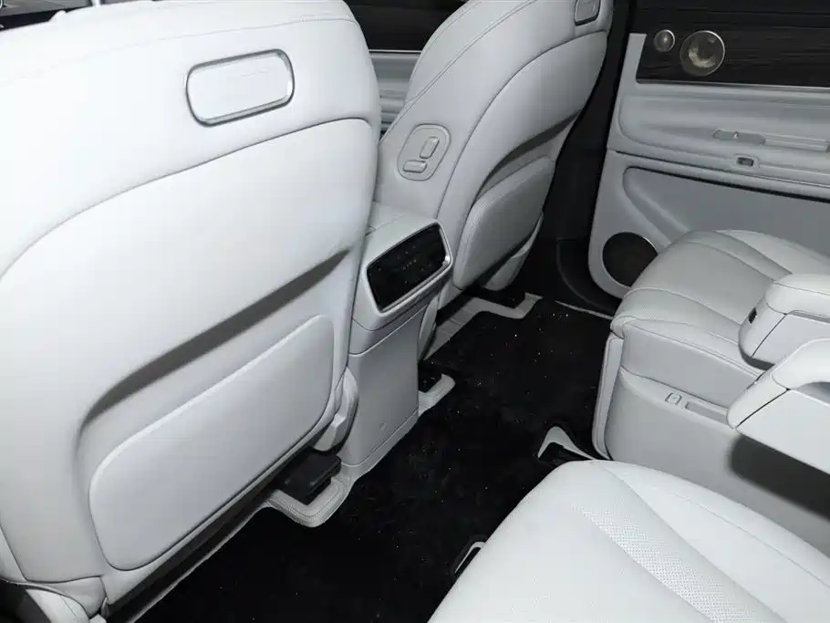 AITO Wenjie AITO M9 2024 Extended Range Ultra 42kWh 6-Seater фото 20