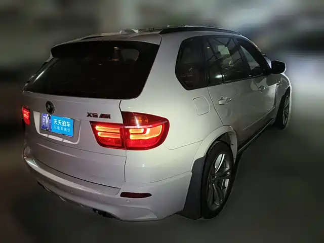 BMW X5 M 2010 X5 M — фото 2