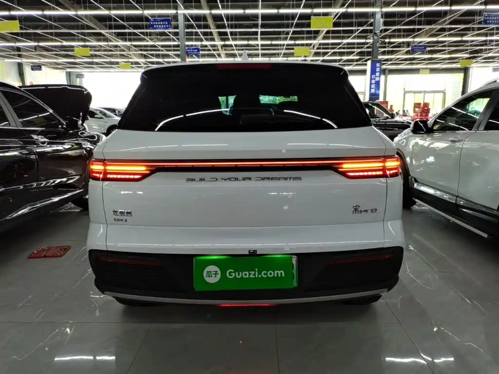 BYD Song Pro New Energy 2024 Glory Edition DM-i 71KM Pilot фото 6