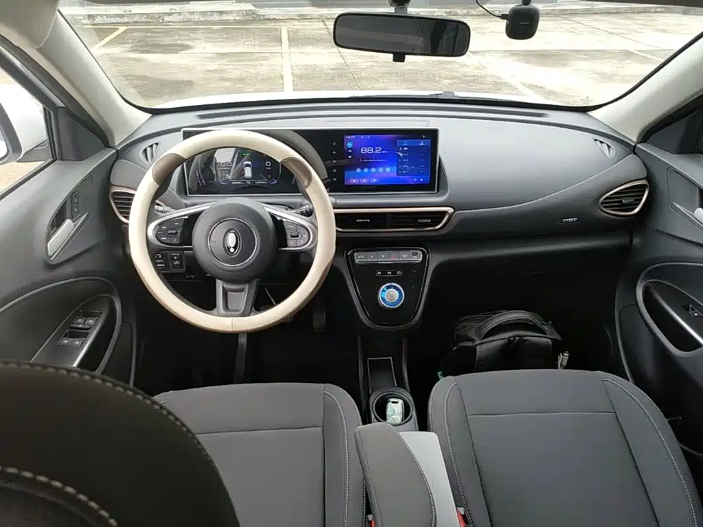 Ora White Cat 2021 2020 305km Luxury