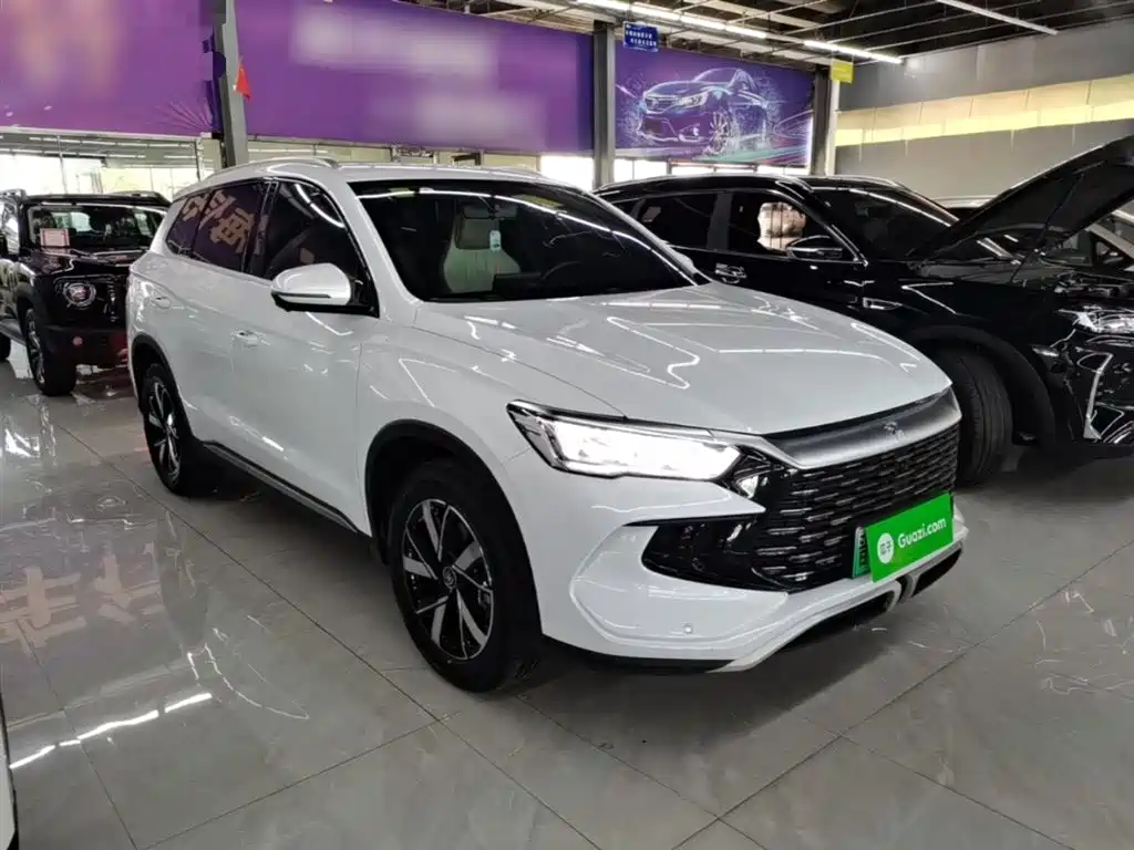 BYD Song Pro New Energy 2024 Glory Edition DM-i 71KM Pilot фото 4