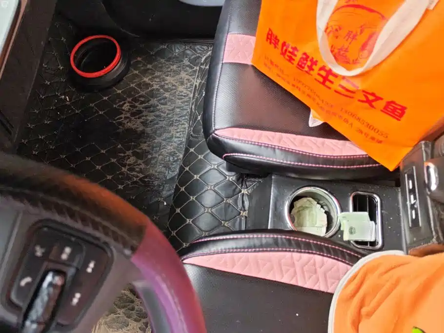 Photo 15 - Baojun E200