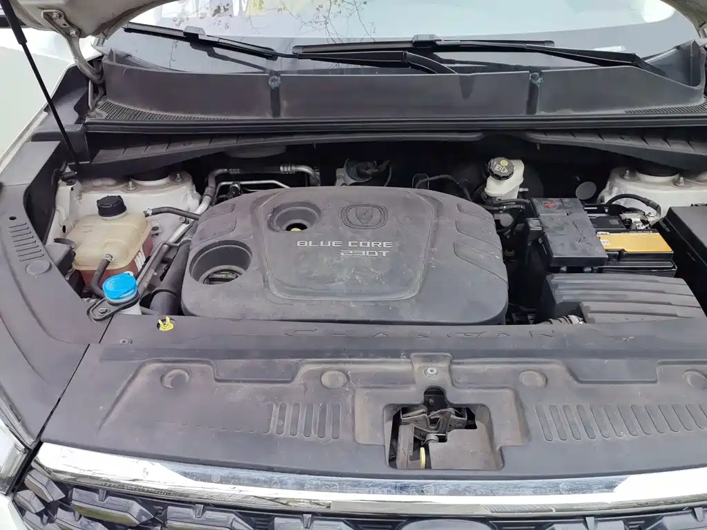 Changan CS55 2018 2018 1.5T Automatic Chromatic China V