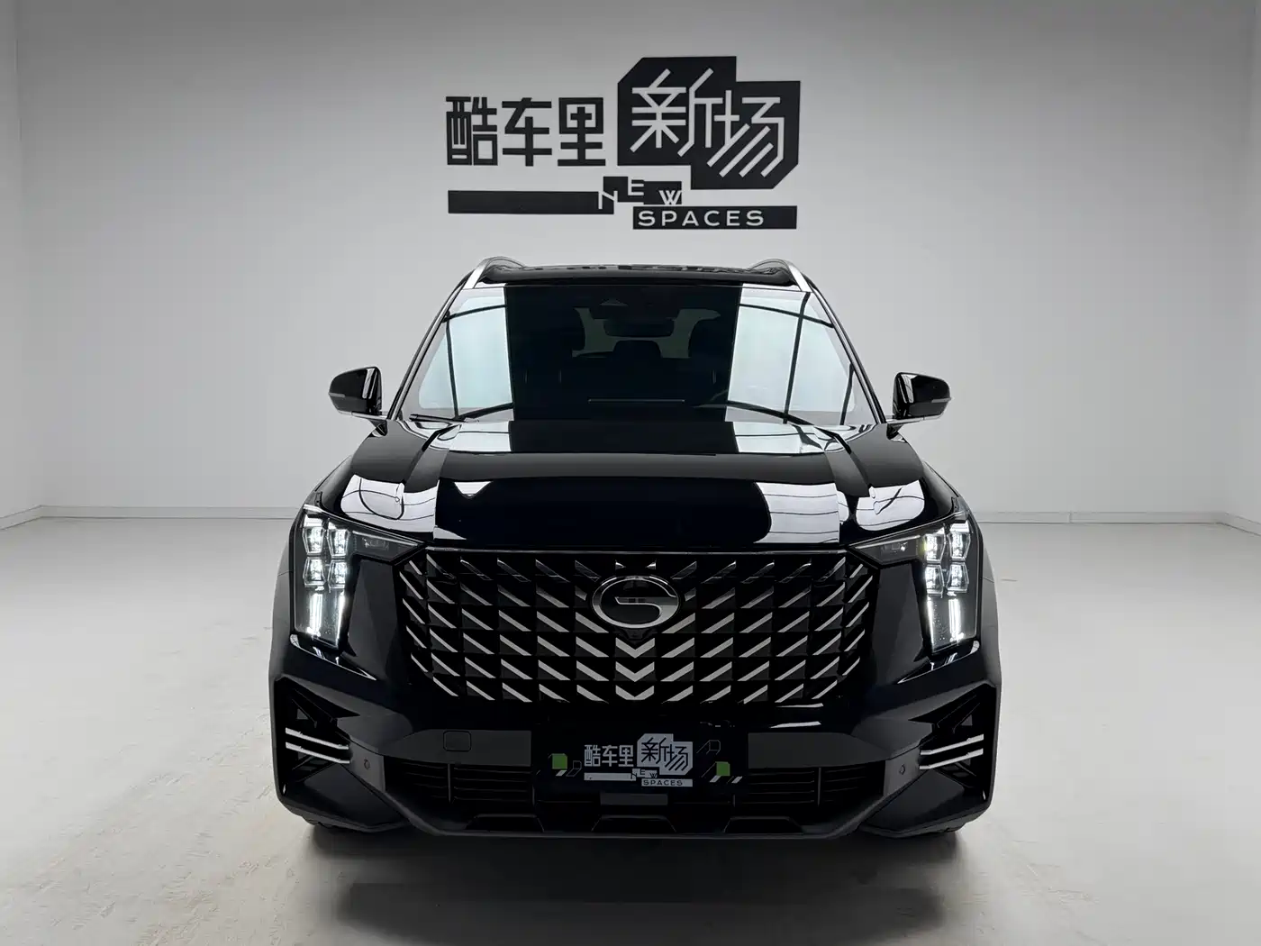 GAC Trumpchi Trumpchi GS8 2024 Navigator Series 2.0TGDI 2WD Luxury Smart Connect Edition фото 2