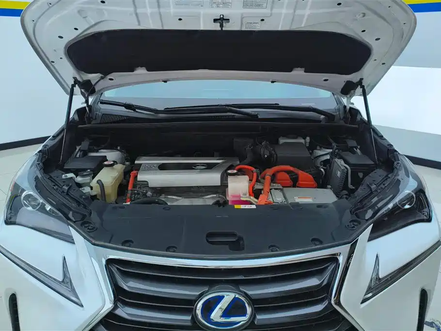 Lexus NX 2015 300h FWD Luxury фото 10