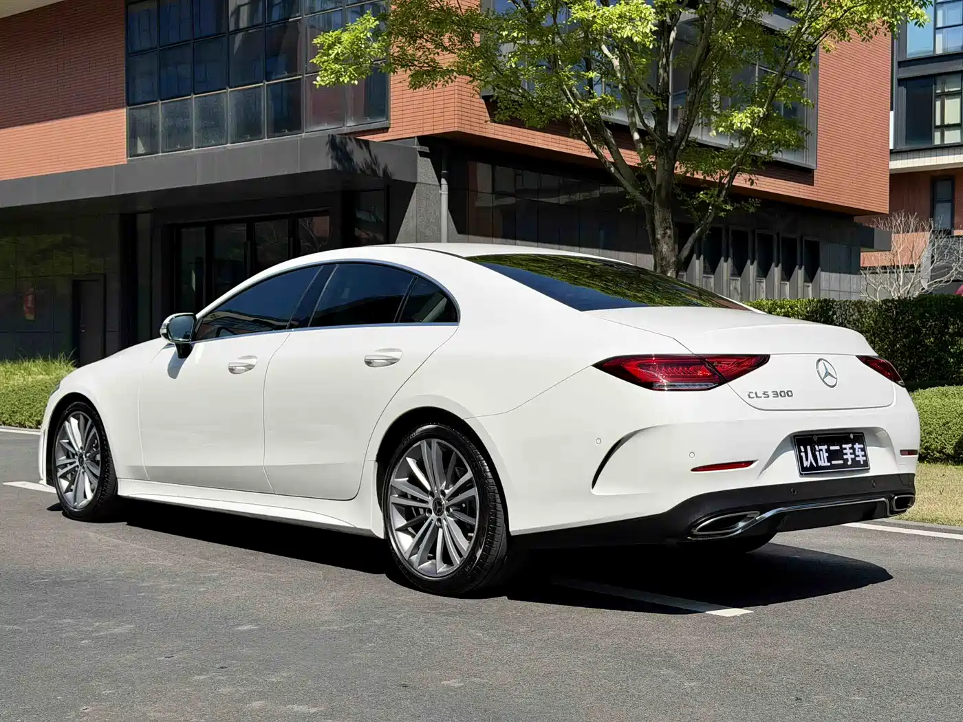Mercedes-Benz CLS 2020 CLS 300 Dynamic фото 2