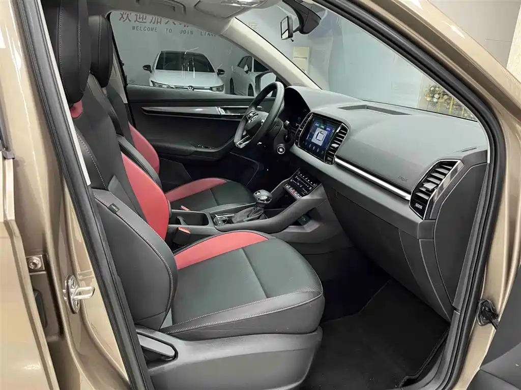 Škoda Karoq 2025 TSI280 Luxury Edition фото 13