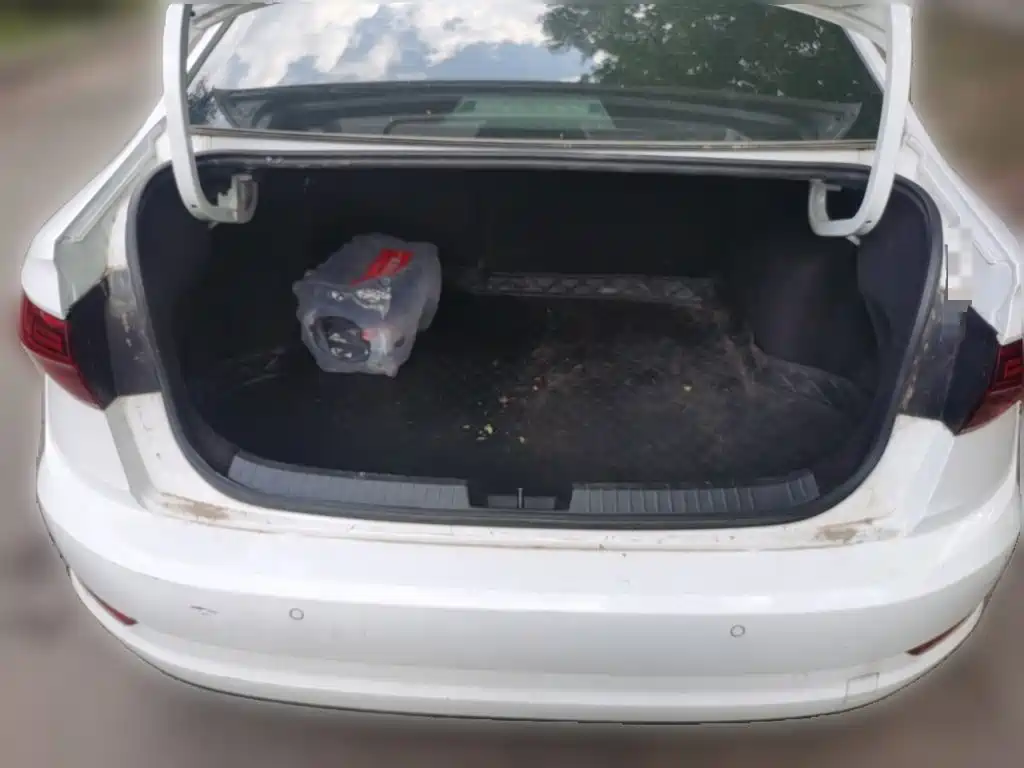 Photo 20 - Volkswagen Sagitar