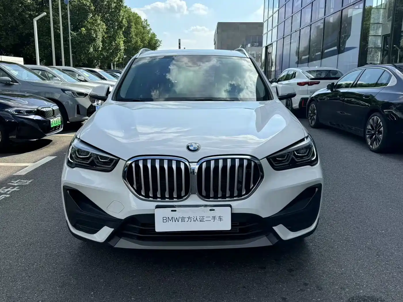 BMW X1 2020 sDrive25Li Leading Model