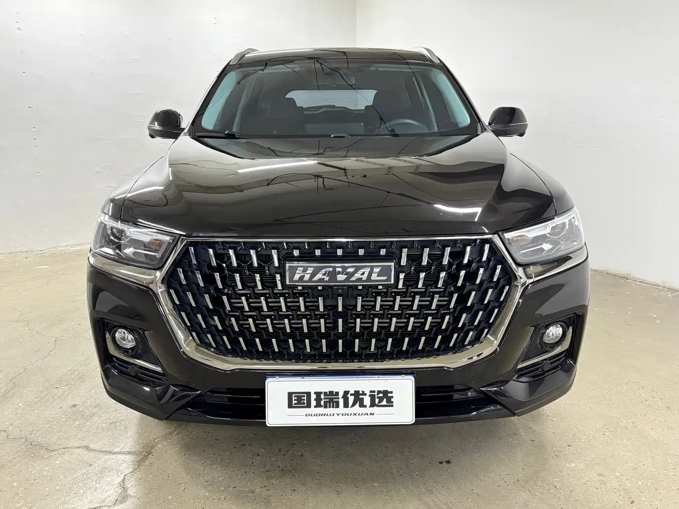 Haval H6 2023 National Trend Edition 1.5T Automatic Urban фото 2