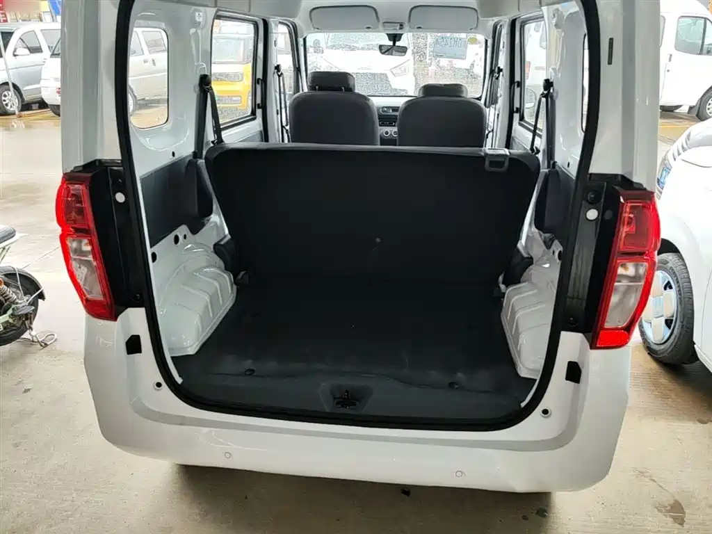 Wuling Motors Wuling Zhiguang NEV 2026 2025 Model 305km Base Version